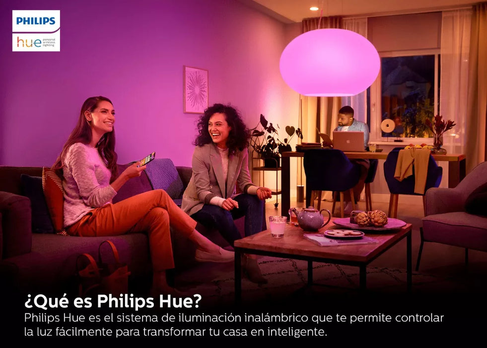 PHILIPS HUE PUENTE DE ALIMENTACION CONTROLA HASTA 50 FOCOS GRADO B